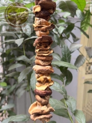 Nấm hương rừng Tây Bắc 500g hàng loại 1