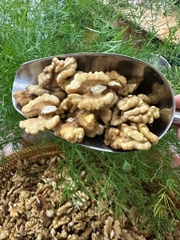 Óc chó nhân Đắc Lăk 500g