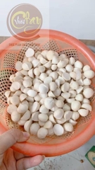 Mắc ca nhân 1/2 500g