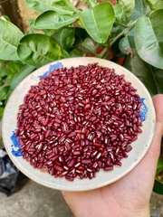 Xích tiểu đậu 500g