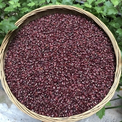 Xích tiểu đậu 500g