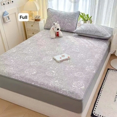 Chiếu Băng Lạnh A+