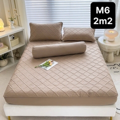Bộ Ga Gối Cotton Đũi Trần Bông (BST 2)