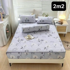 Bộ Ga Gối Cotton Đũi Trần Bông