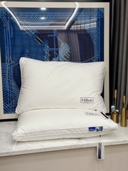 Ruột gối Khách sạn