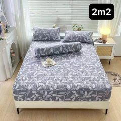 Bộ Ga Gối Cotton Đũi Trần Bông