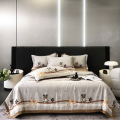 Bộ Chăn Ga Gối Hè Lụa Thái – Mát Lạnh Tự Nhiên, Mềm Mịn Chuẩn Cao Cấp