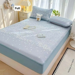 Chiếu Băng Lạnh A+