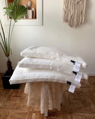 RUỘT GỐI LÔNG VŨ THẤP LOẠI  ĐẶC BIỆT