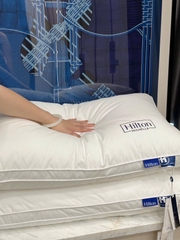 Ruột gối Khách sạn