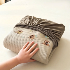 Chiếu Băng Lạnh Capybara – Phiên Bản Nâng Cấp