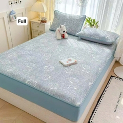 Chiếu Băng Lạnh A+