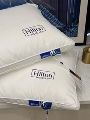 Ruột gối Khách sạn