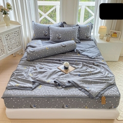 Bộ Chăn Ga Cotton Đũi Hàn Quốc 5 Món Chần Bông (BST 1)