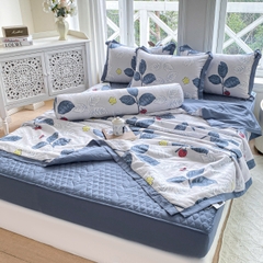 Bộ Chăn Ga Cotton Đũi Hàn Quốc 5 Món Chần Bông (BST 2)