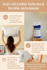 RUỘT GỐI CHỐNG THẤM – ÊM MỀM, SẠCH KHUẨN