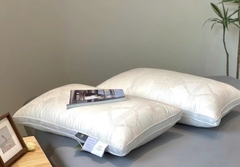 Ruột gối xơ đậu nành, vỏ lụa tencel 100s