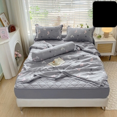 Bộ Chăn Ga Cotton Đũi Hàn Quốc 5 Món Chần Bông (BST 2)