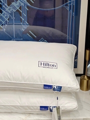 Ruột gối Khách sạn