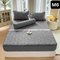 Bộ Ga Gối Cotton Đũi Trần Bông (BST 2)