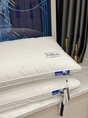 Ruột gối Khách sạn