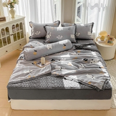 Bộ Chăn Ga Cotton Đũi Hàn Quốc 5 Món Chần Bông (BST 1)