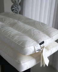 Ruột gối xơ đậu nành, vỏ lụa tencel 100s