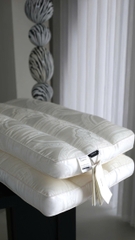 Ruột gối xơ đậu nành, vỏ lụa tencel 100s