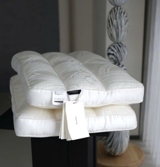 Ruột gối xơ đậu nành, vỏ lụa tencel 100s