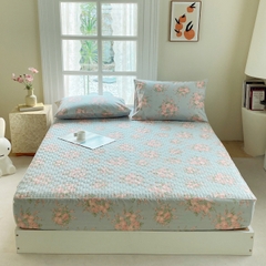 Bộ ga gối Cotton Organic trần bông