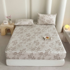 Bộ ga gối Cotton Organic trần bông