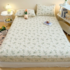 Bộ ga gối Cotton Organic trần bông