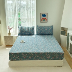 Bộ ga gối Cotton Organic trần bông