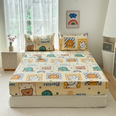 Bộ ga gối Cotton Organic trần bông