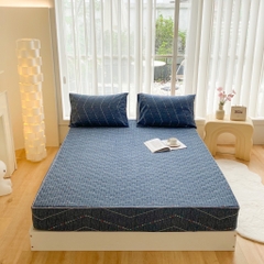 Bộ ga gối Cotton Organic trần bông