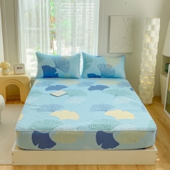 Bộ ga gối Cotton Organic trần bông