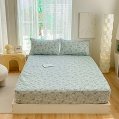 Bộ ga gối Cotton Organic trần bông