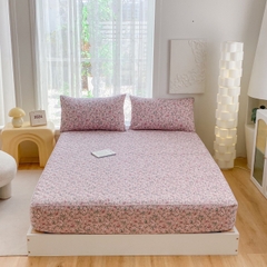 Bộ ga gối Cotton Organic trần bông