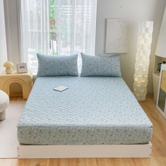 Bộ ga gối Cotton Organic trần bông