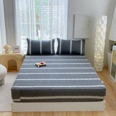 Bộ ga gối Cotton Organic trần bông