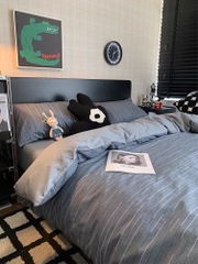 Bộ chăn ga gối Cotton Organic Hàn Quốc