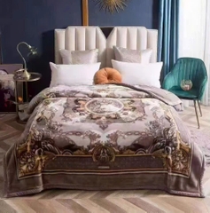 Chăn Siêu Tuyết 5KG – Mềm Mịn, Ấm Áp