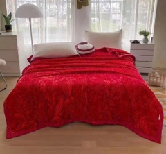 Chăn Siêu Tuyết 3KG – Nhẹ, Mềm Mịn, Phù Hợp Mọi Thời Tiết