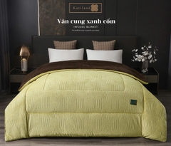 Chăn Lông Thỏ Mặt A Nhung Tuyết 4KG – Mềm Mịn, Giữ Ấm Tuyệt Vời Cho Mùa Đông