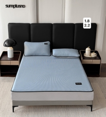 Bộ Chăn Ga Mát Lạnh Cho Mùa Hè - CEESI Home – ICE CORE