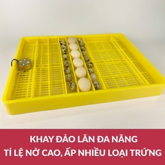 Máy Ấp Trứng Gà Ánh Dương A100 – Giải Pháp Ấp Nở Thông Minh