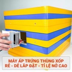 Máy ấp trứng gà Ánh Dương P100 chính hãng mới nhất 2025
