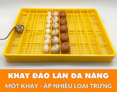 Máy ấp trứng Ánh Dương E200