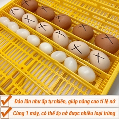 Máy ấp trứng Ánh Dương E100 chính hãng