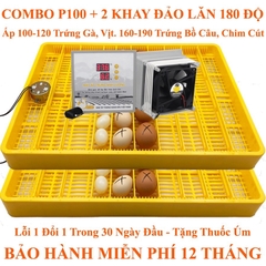 Máy ấp trứng gà Ánh Dương P300 chính hãng mới nhất 2023